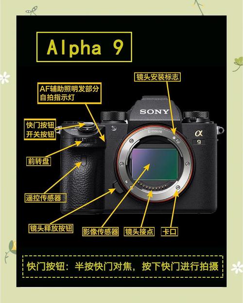 索尼编号查询，索尼机器编号查询？-第1张图片-优品飞百科