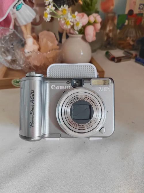 佳能a620黑屏解决方法，佳能a620使用技巧？-第4张图片-优品飞百科