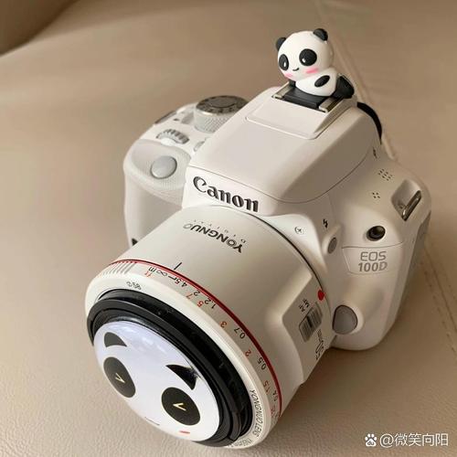 佳能1dx适合拍人像吗？佳能1dx使用感受？-第2张图片-优品飞百科