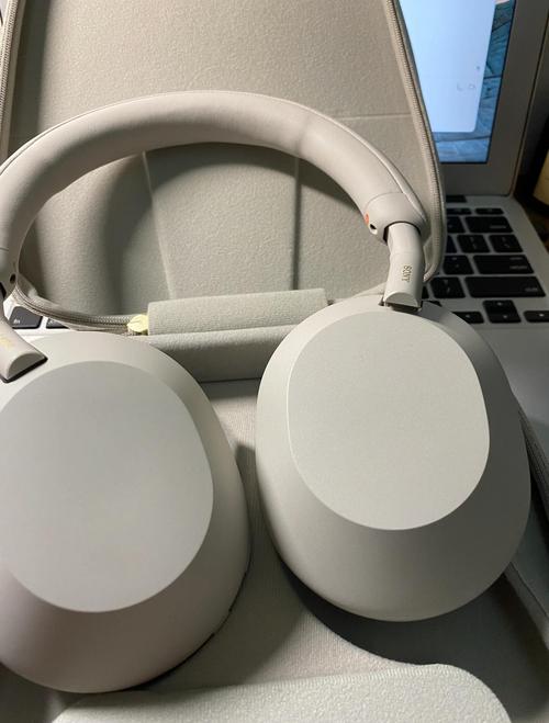 sonyx是索尼吗,s索尼是索尼吗?-第2张图片-优品飞百科 sonyx是索尼吗,s索尼是索尼吗?-第2张图片-优品飞百科