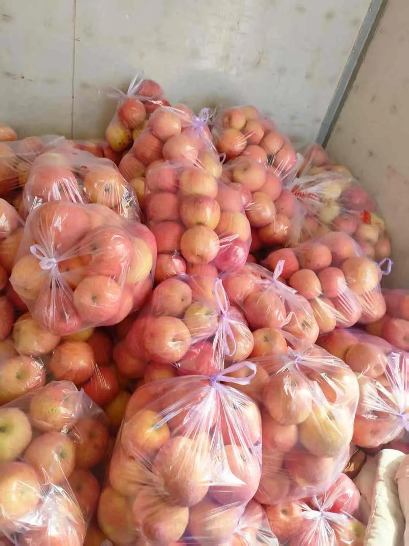 苹果批发市场多少钱一斤，苹果批发多少钱一个-第1张图片-优品飞百科