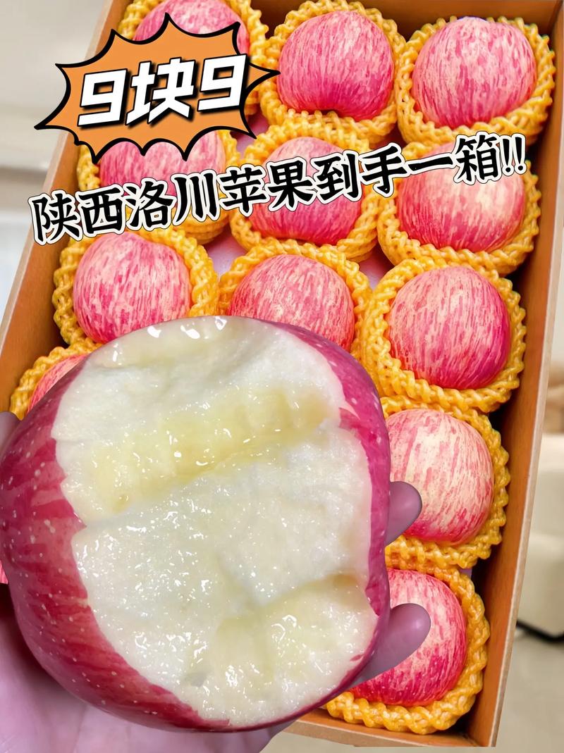 苹果批发市场多少钱一斤，苹果批发多少钱一个-第5张图片-优品飞百科