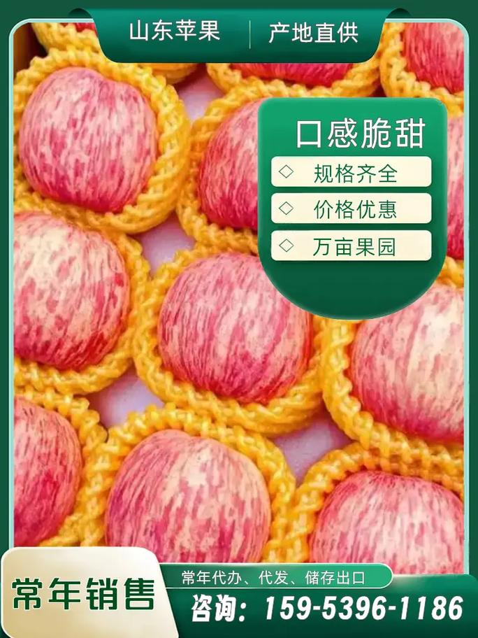 苹果批发市场多少钱一斤，苹果批发多少钱一个-第6张图片-优品飞百科