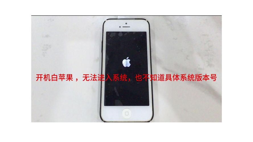 苹果出现白苹果怎么办？平果手机出现白苹果现象？-第5张图片-优品飞百科