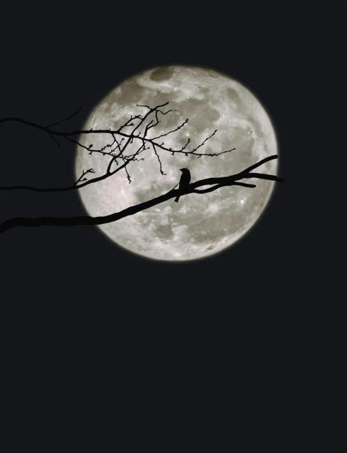 苹果13怎么拍月亮纹路，苹果13拍月亮效果