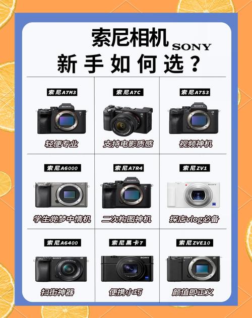 索尼a7是微单还是单反，索尼a77是单反吗？-第5张图片-优品飞百科