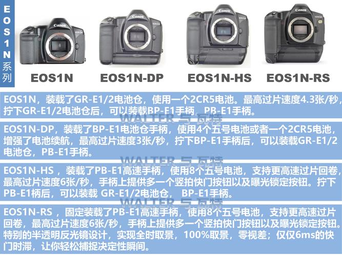 佳能机身底部12位编码能否查真伪，佳能机身12位编号查询产地代码？