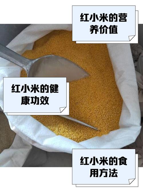 小米一斤多少钱一斤，请问小米多少钱一斤？