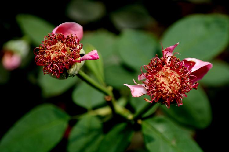 三星nx300怎么开机，三星nx3300使用技巧-第3张图片-优品飞百科