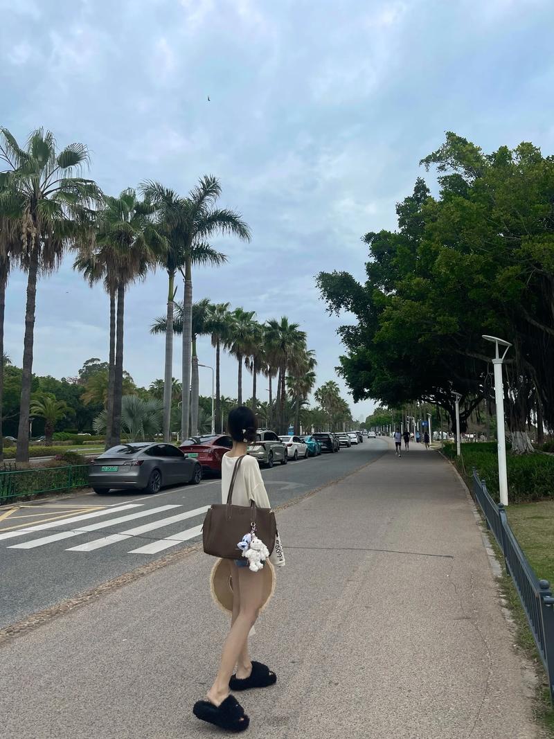 翔安新店今日天气？翔安新店今日天气情况？-第3张图片-优品飞百科