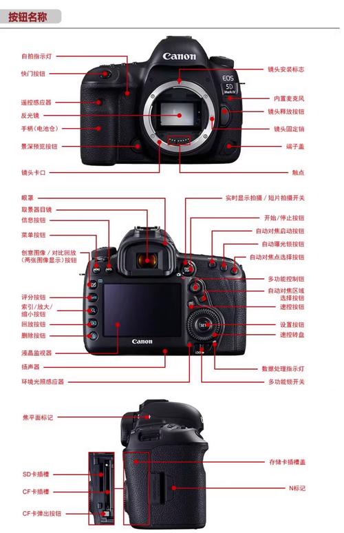 佳能5ds画质如何？佳能5ds画质如何提高？-第4张图片-优品飞百科