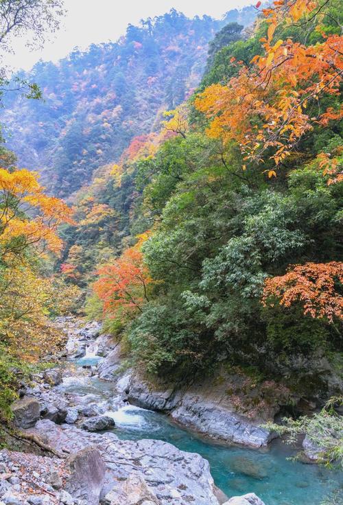 芦山今日天气预报，芦山县当日天气情况24小时
