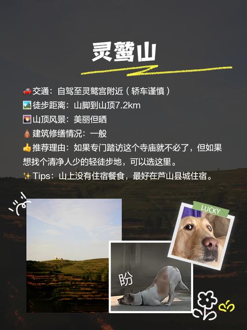 芦山今日天气预报，芦山县当日天气情况24小时-第3张图片-优品飞百科