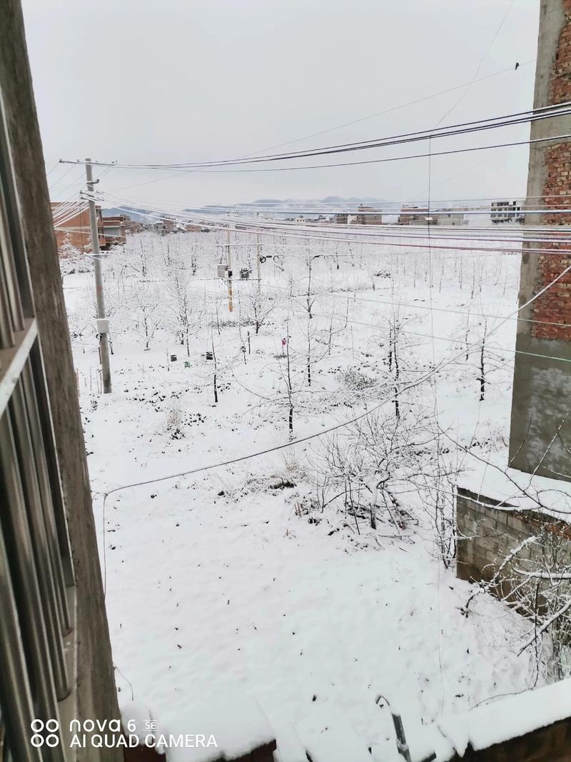 彝良今日天气如何，彝良今日天气如何？-第2张图片-优品飞百科