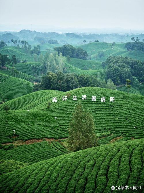 今日信阳最新天气，信阳最近一周天气预报？-第3张图片-优品飞百科