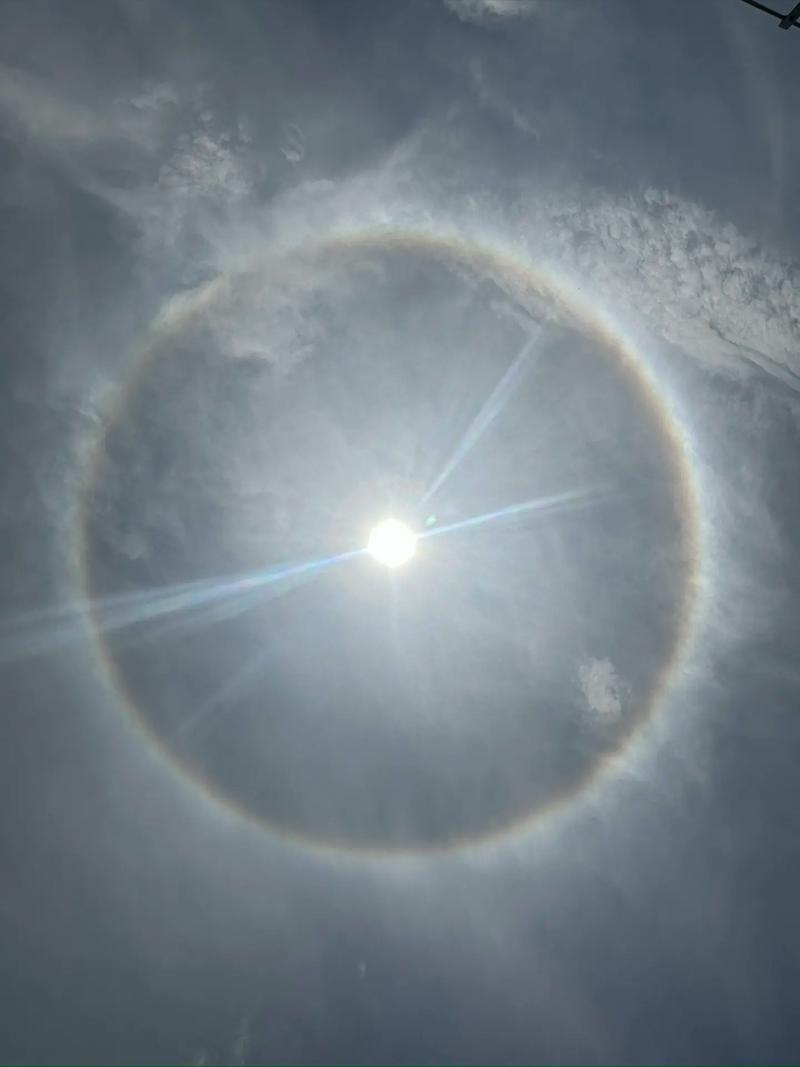 今日紫台天气情况，今日紫台天气情况怎么样-第2张图片-优品飞百科