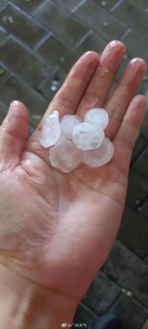 中山今日天气黄圃，地铁口要求出示身份证？-第1张图片-优品飞百科