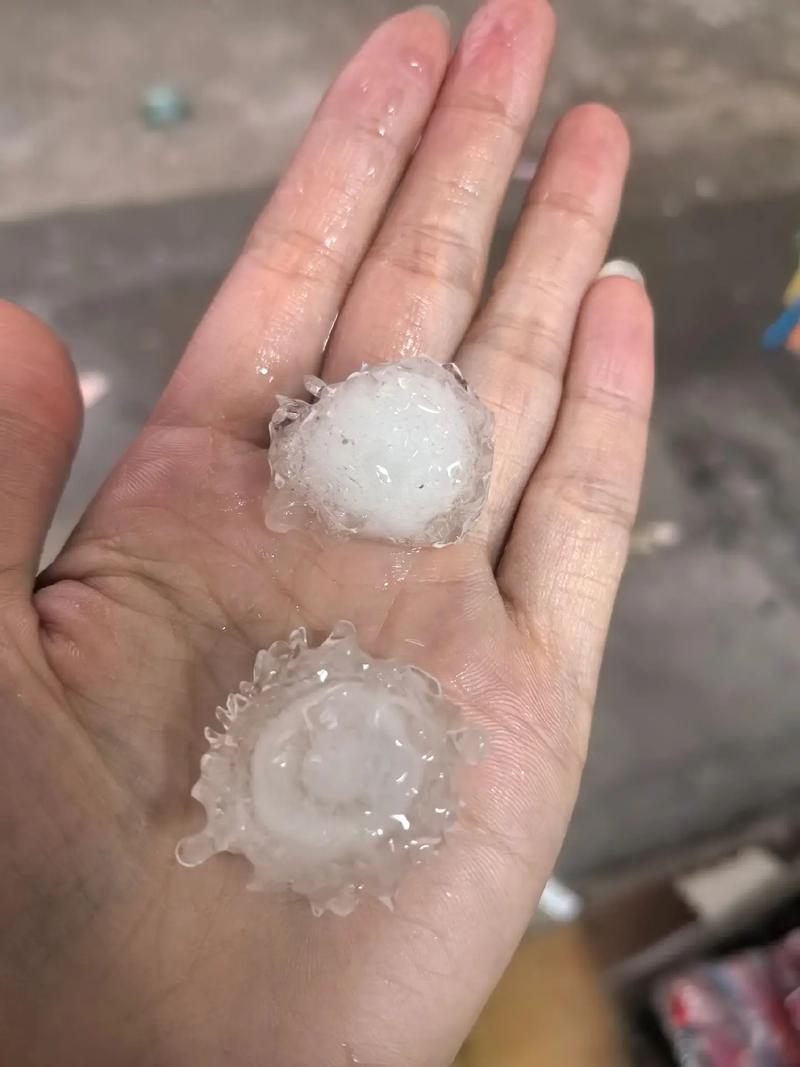 中山今日天气黄圃，地铁口要求出示身份证？-第5张图片-优品飞百科