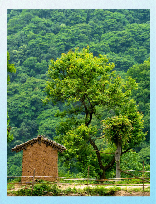 西安鄠邑今日天气，西安鄠邑天气实时预报-第1张图片-优品飞百科