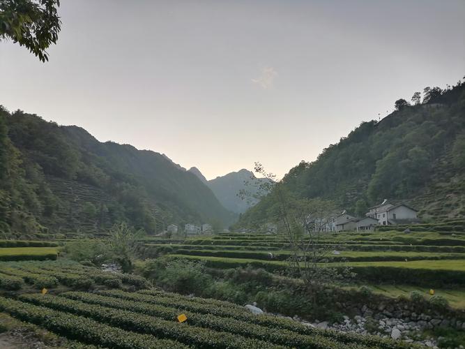 夷陵今日天气预报？创维冰箱怎样调节温度？-第4张图片-优品飞百科