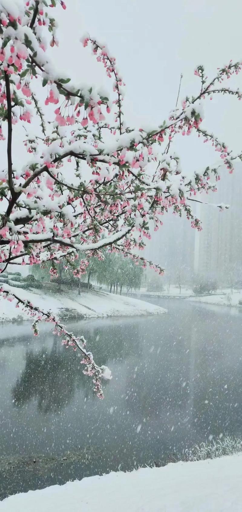 夷陵今日天气预报？创维冰箱怎样调节温度？-第6张图片-优品飞百科