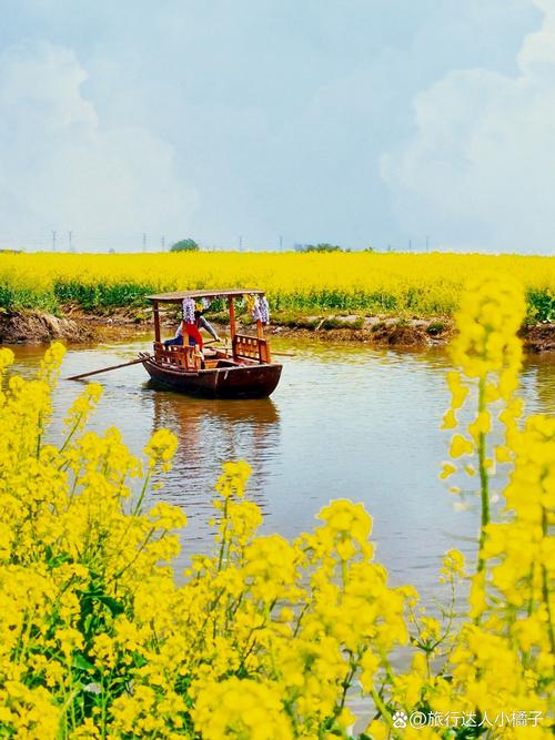 今日兴化安丰天气，兴化安丰天气预报15天