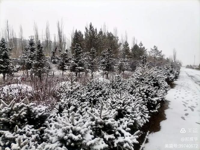 集宁今日天气详情，集宁今天天气-第2张图片-优品飞百科