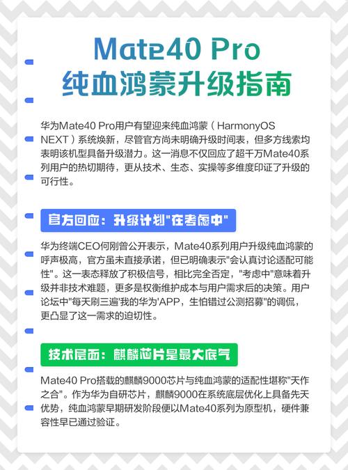 华为mate40pro怎么更新系统，华为mate40pro怎么更新软件？-第4张图片-优品飞百科
