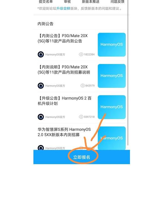 华为mate40pro怎么更新系统，华为mate40pro怎么更新软件？-第5张图片-优品飞百科