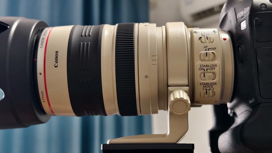 佳能入门级长焦镜头，佳能入门级长焦镜头怎么样-第3张图片-优品飞百科