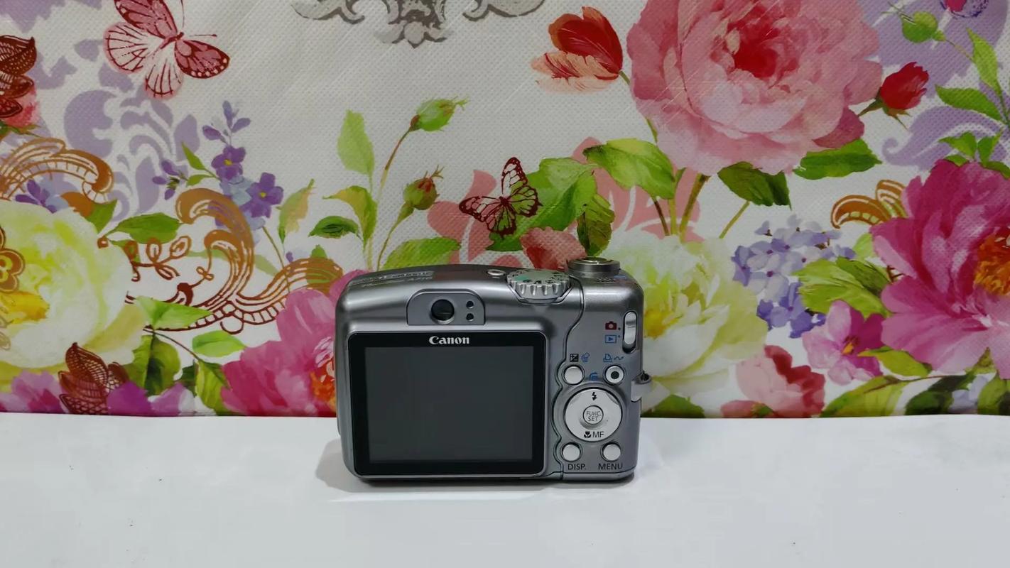 佳能a430电压，佳能a430电压是几v-第2张图片-优品飞百科