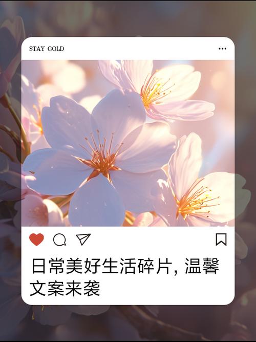 今日天气生活碎片，天气预报今日的？-第4张图片-优品飞百科