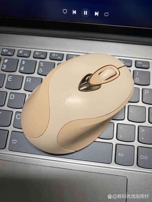 雷柏鼠标和罗技鼠标哪个耐用，雷柏鼠标好还是罗技鼠标好？