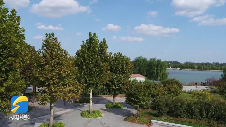 广饶今日最新天气，广饶今日最新天气预报-第4张图片-优品飞百科