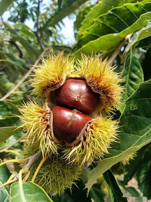 今日河北沙河天气？沙河的天气预报？-第3张图片-优品飞百科