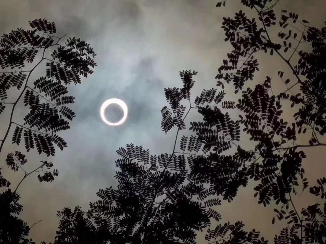 监利今日天气预报，监利今日天气预报详情-第2张图片-优品飞百科