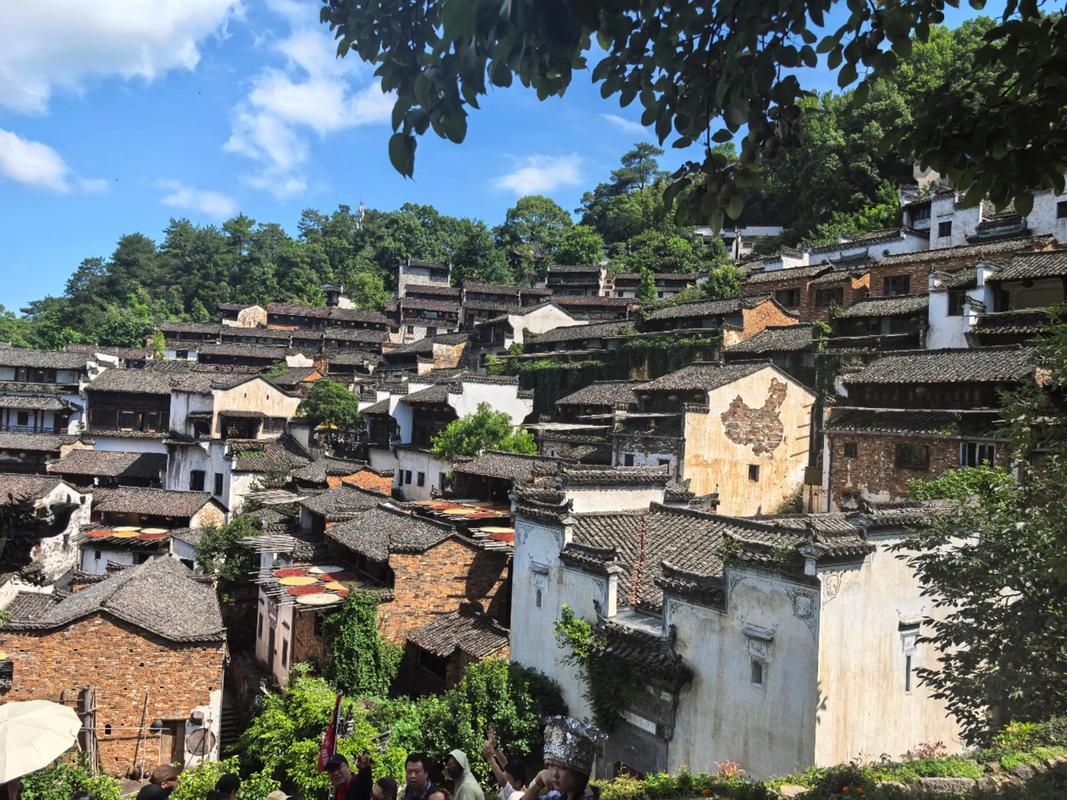 篁岭今日天气实况，篁岭今日天气实况视频-第5张图片-优品飞百科