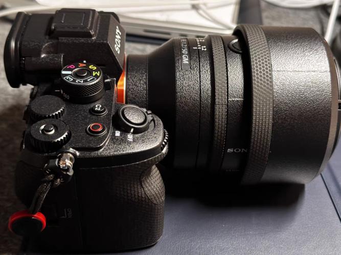 索尼微单配什么微距镜头，索尼哪款镜头带微距-第1张图片-优品飞百科