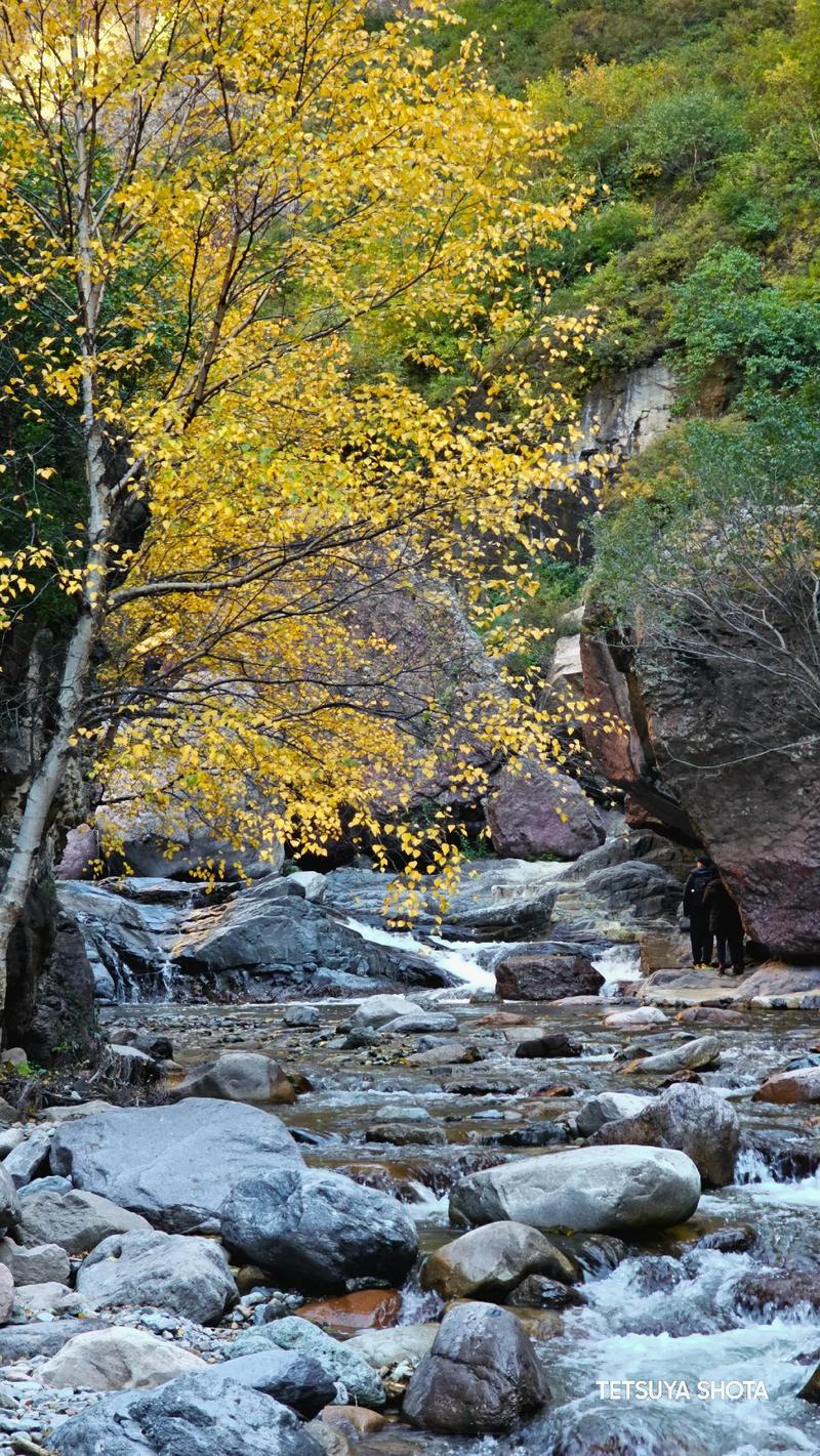 金河今日天气预报？金河天气预报出来了？-第3张图片-优品飞百科