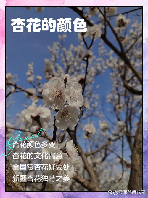 伊州今日天气预报，皮肤有一块突然变黑的原因？-第5张图片-优品飞百科