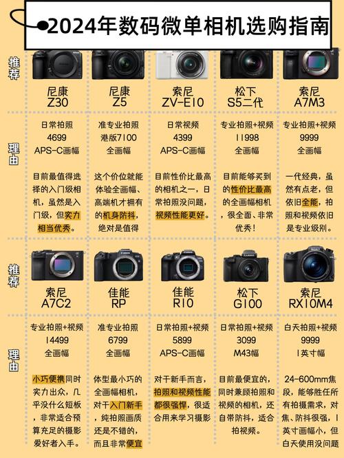 最新上市的微单相机？2021年新出的微单？-第4张图片-优品飞百科