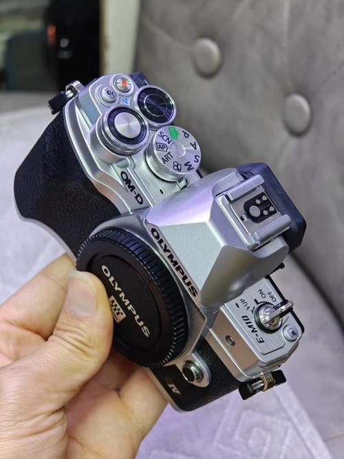 最新上市的微单相机？2021年新出的微单？-第5张图片-优品飞百科