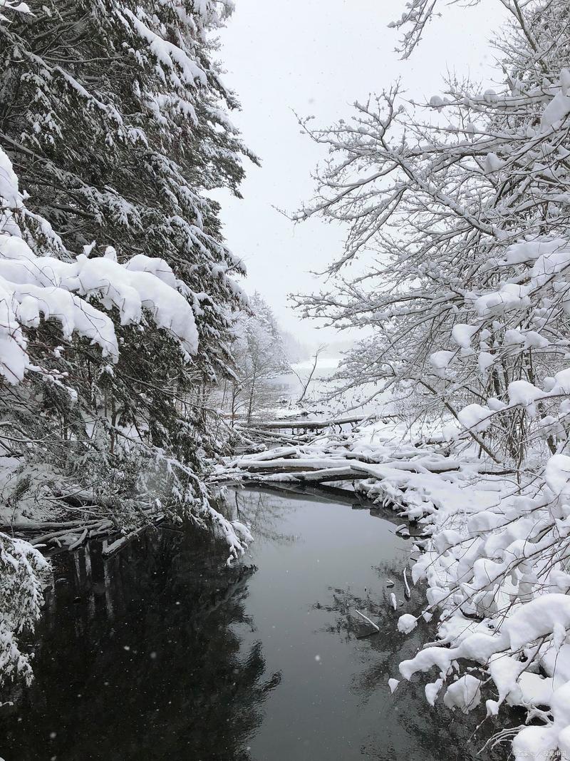 泸州今日天气图片，泸州市今明两天天气预报？-第1张图片-优品飞百科