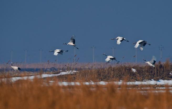 今日盘锦天气温度？盘锦今天天气预报查询？