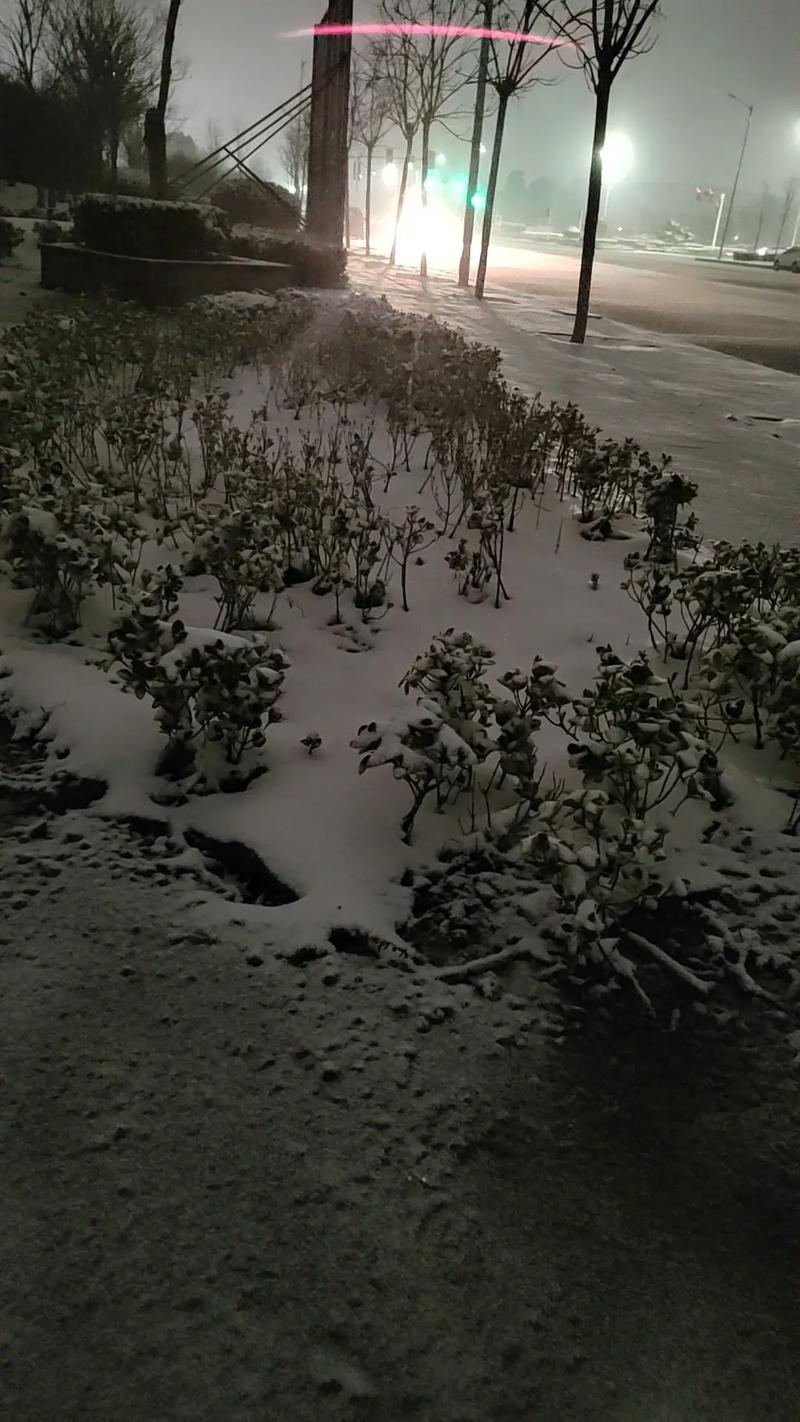 铜陵今日天气日报？安徽铜陵今天天气预报？-第3张图片-优品飞百科