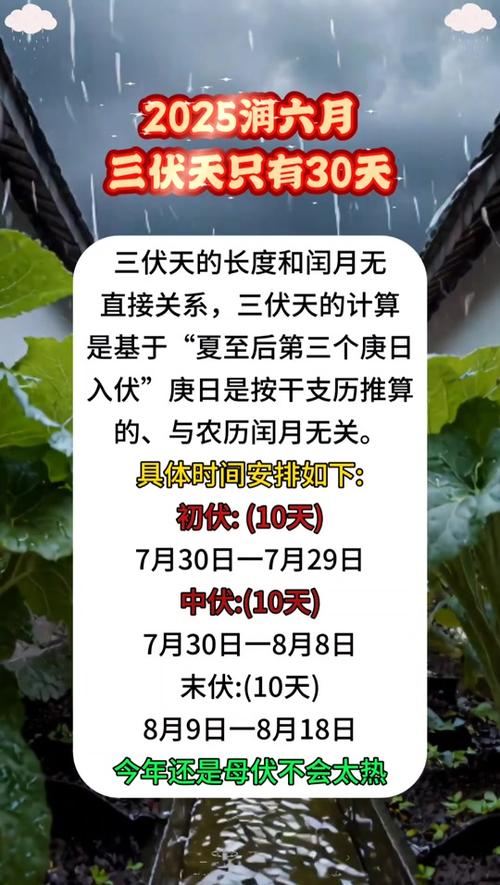 今日出伏天气预报，今日は天気いいですね-第1张图片-优品飞百科