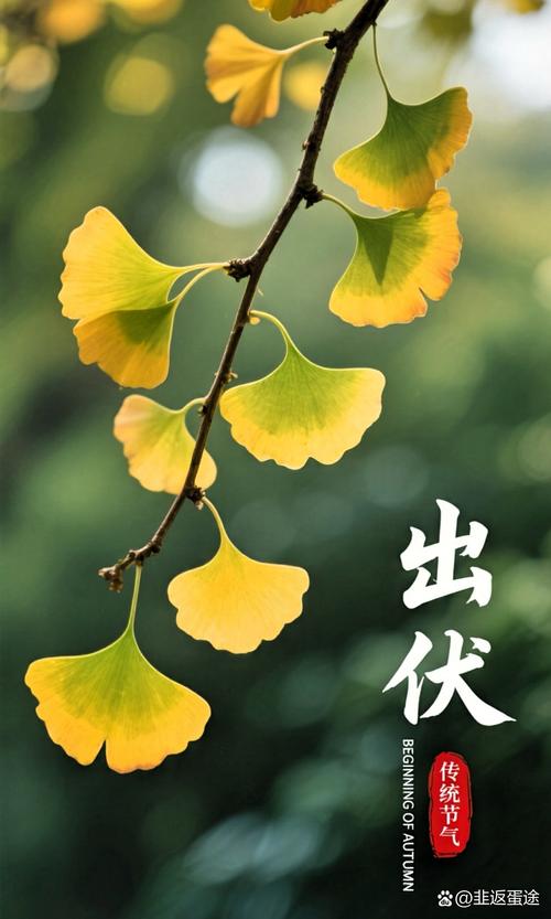 今日出伏天气预报，今日は天気いいですね-第5张图片-优品飞百科