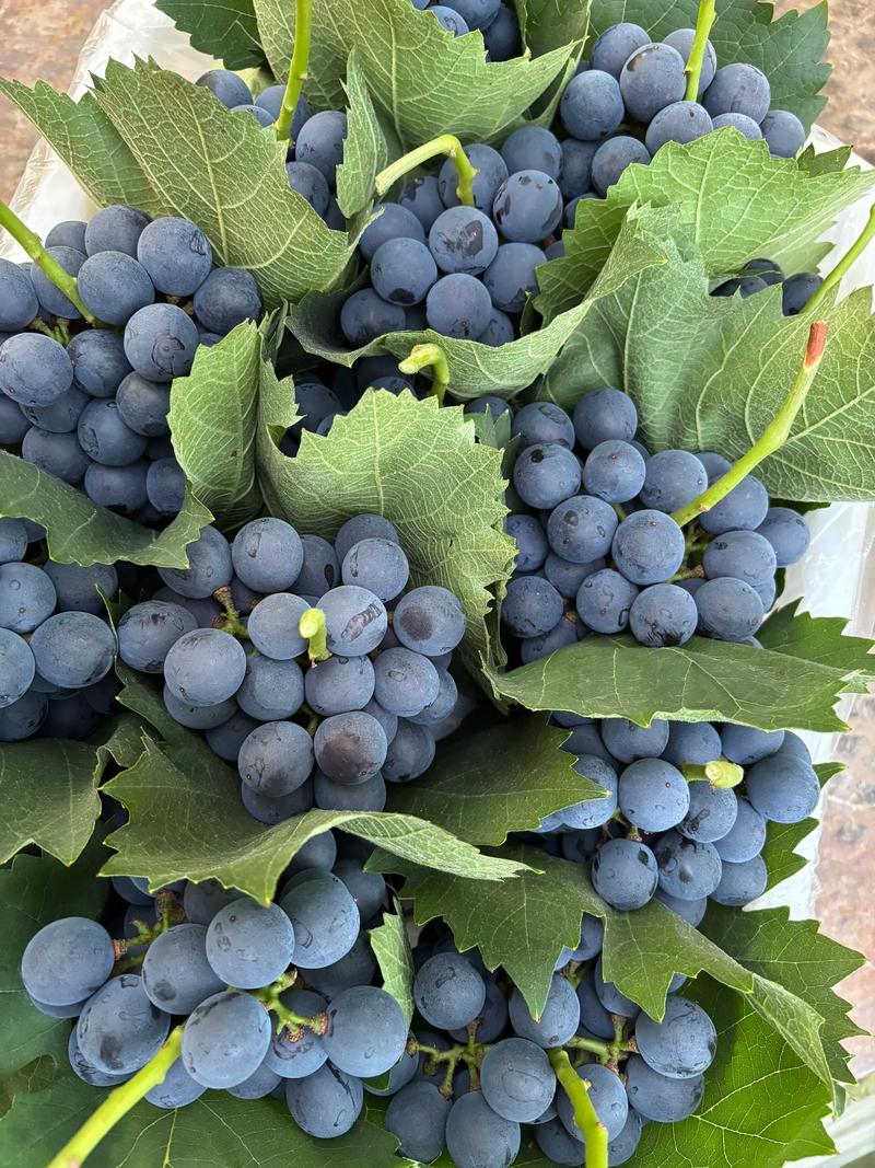 红河州今日天气预，红河天气情况？-第4张图片-优品飞百科