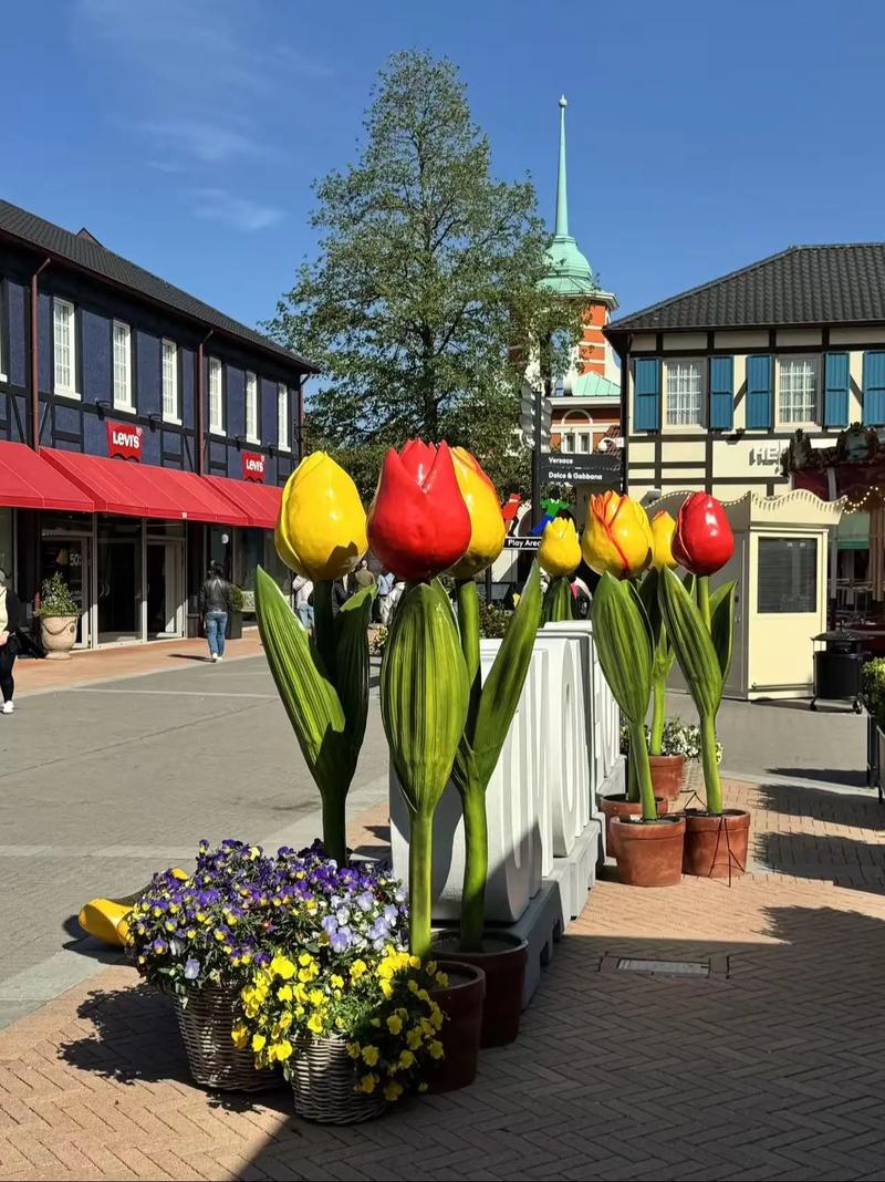 荷兰今日天气如何？人生贵相如何必金与钱？-第1张图片-优品飞百科