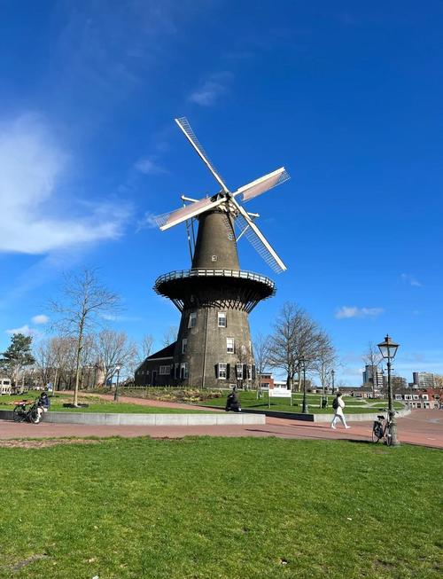 荷兰今日天气如何？人生贵相如何必金与钱？-第2张图片-优品飞百科